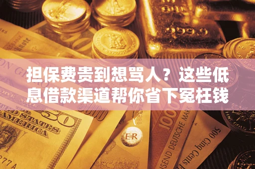 济南担保费贵到想骂人？这些低息借款渠道帮你省下冤枉钱