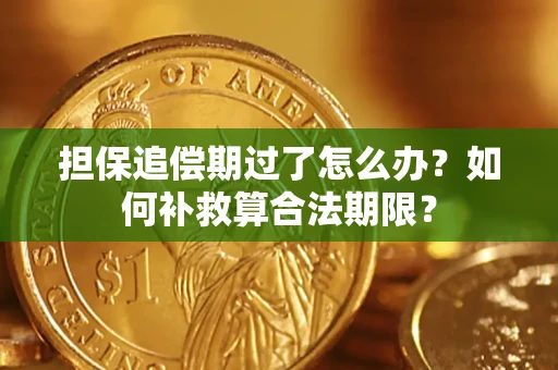 济南担保追偿期过了怎么办？如何补救算合法期限？