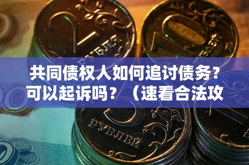济南共同债权人如何追讨债务？可以起诉吗？（速看合法攻略）